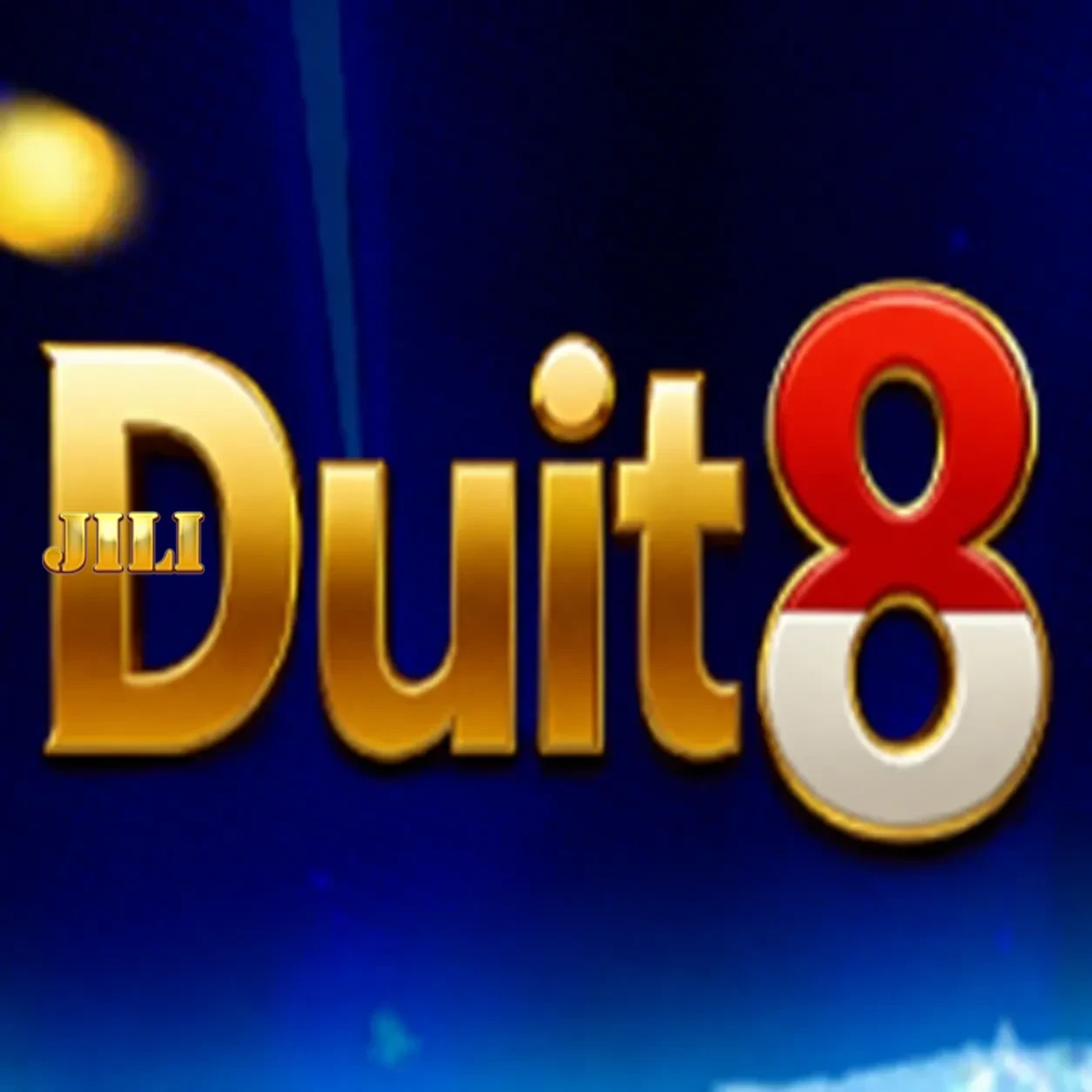 Logo duit8